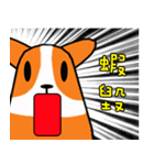 Life of Corgi Miluku（個別スタンプ：28）