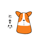 Life of Corgi Miluku（個別スタンプ：29）