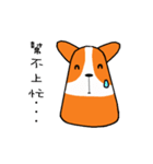 Life of Corgi Miluku（個別スタンプ：37）