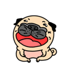 Pugs love to talk(English ver.)（個別スタンプ：8）