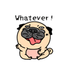 Pugs love to talk(English ver.)（個別スタンプ：16）