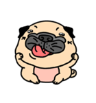 Pugs love to talk(English ver.)（個別スタンプ：39）