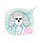 "LUCY the Crooked Jaw Poodle"（個別スタンプ：17）