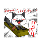 猫部長（個別スタンプ：18）