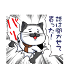 猫部長（個別スタンプ：19）