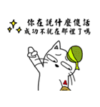 Cap cat 1-Inspirational Quotes（個別スタンプ：13）