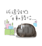 Lazy Q-cats（個別スタンプ：22）