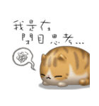 Lazy Q-cats（個別スタンプ：27）