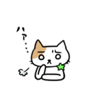 うまねこ（個別スタンプ：12）