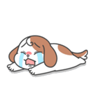 Smile！ Smile！ cute puppy 'cheni'（個別スタンプ：13）