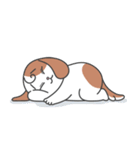 Smile！ Smile！ cute puppy 'cheni'（個別スタンプ：15）