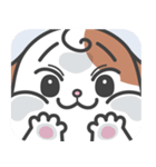 Smile！ Smile！ cute puppy 'cheni'（個別スタンプ：34）