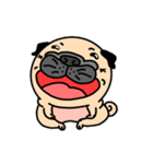 Joy's Pug World (Animated Stickers)（個別スタンプ：1）