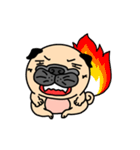 Joy's Pug World (Animated Stickers)（個別スタンプ：13）