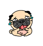 Joy's Pug World (Animated Stickers)（個別スタンプ：15）