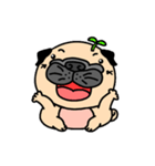 Joy's Pug World (Animated Stickers)（個別スタンプ：24）