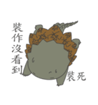 The 3rd turtle casual present.（個別スタンプ：6）