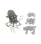 The 3rd turtle casual present.（個別スタンプ：25）