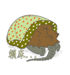 The 3rd turtle casual present.（個別スタンプ：32）