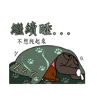 The 4rd turtle casual present（個別スタンプ：11）