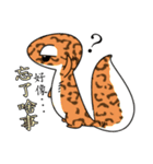 The 5th turtle casual present（個別スタンプ：1）