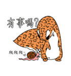 The 5th turtle casual present（個別スタンプ：2）