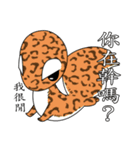 The 5th turtle casual present（個別スタンプ：5）