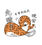 The 5th turtle casual present（個別スタンプ：6）