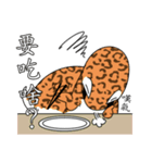 The 5th turtle casual present（個別スタンプ：8）