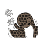 The 5th turtle casual present（個別スタンプ：9）