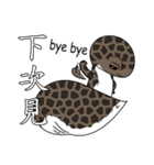 The 5th turtle casual present（個別スタンプ：10）