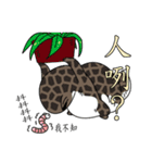 The 5th turtle casual present（個別スタンプ：11）
