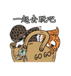 The 5th turtle casual present（個別スタンプ：12）
