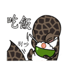 The 5th turtle casual present（個別スタンプ：13）
