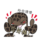 The 5th turtle casual present（個別スタンプ：14）