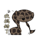 The 5th turtle casual present（個別スタンプ：16）