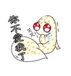 The 5th turtle casual present（個別スタンプ：17）