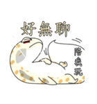 The 5th turtle casual present（個別スタンプ：23）