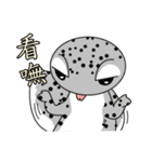 The 5th turtle casual present（個別スタンプ：25）