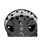 The 5th turtle casual present（個別スタンプ：31）