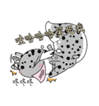 The 5th turtle casual present（個別スタンプ：32）