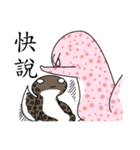 The 5th turtle casual present（個別スタンプ：37）
