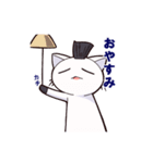 もひかんねこ（個別スタンプ：15）