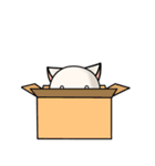 おかしい猫くん（個別スタンプ：14）