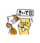 雑種犬クッキーとネコのたま『でか文字』（個別スタンプ：31）