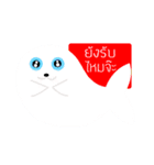 Two cats to sell（個別スタンプ：25）