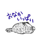 少しリアルなゴマフアザラシ（個別スタンプ：23）