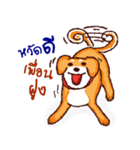 The funny dog（個別スタンプ：2）