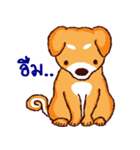 The funny dog（個別スタンプ：27）