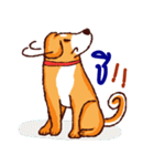 The funny dog（個別スタンプ：29）